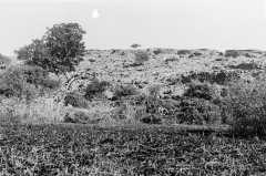 tell von Bethsaida