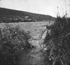 Jordanmündung im See Genezareth