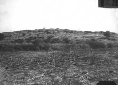 Bethsaida (et-Tell)