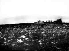 Trümmerfeld von Tell chum von N