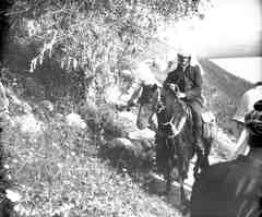 Zwischen Tiberias und Medschdel, Fetzenbaum, Bertheau, 
		Lundgreen
